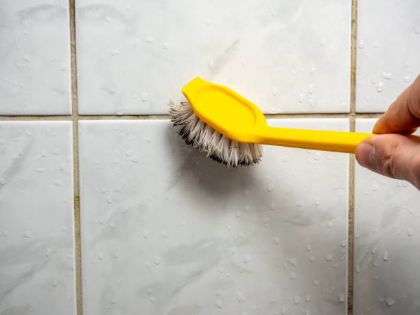 Best Emergency Mold Removal  in Fair Oaks Ranch, TX