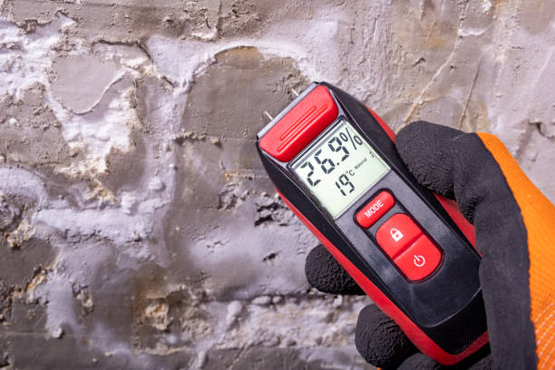 Mold Testing and Removal in Fair Oaks Ranch, TX