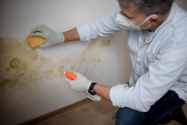 Crawl Space Mold Removal in Fair Oaks Ranch, TX