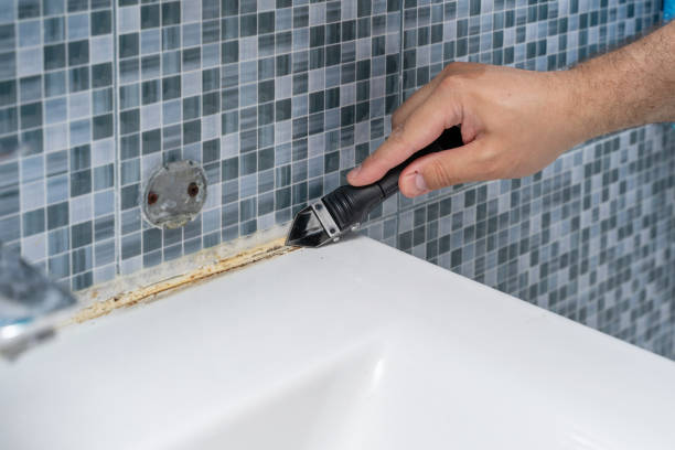 Best Mold Damage Repair  in Fair Oaks Ranch, TX